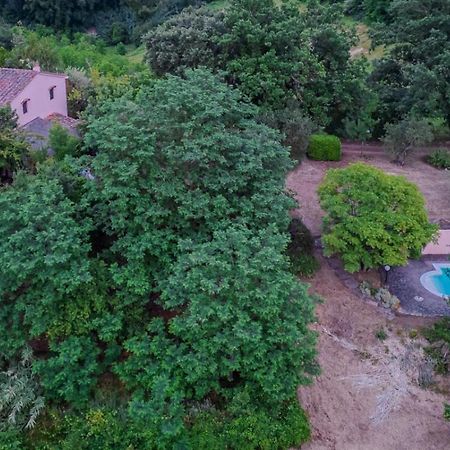 La Casa Nel Bosco Βίλα Lari Εξωτερικό φωτογραφία