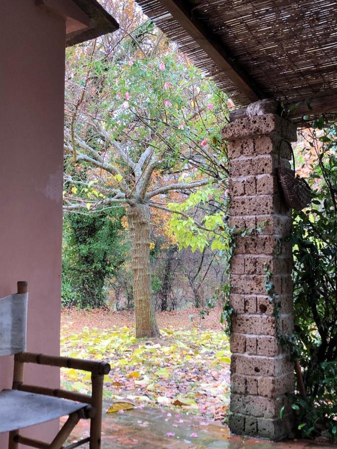 La Casa Nel Bosco Βίλα Lari Εξωτερικό φωτογραφία