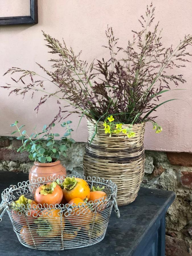 La Casa Nel Bosco Βίλα Lari Εξωτερικό φωτογραφία