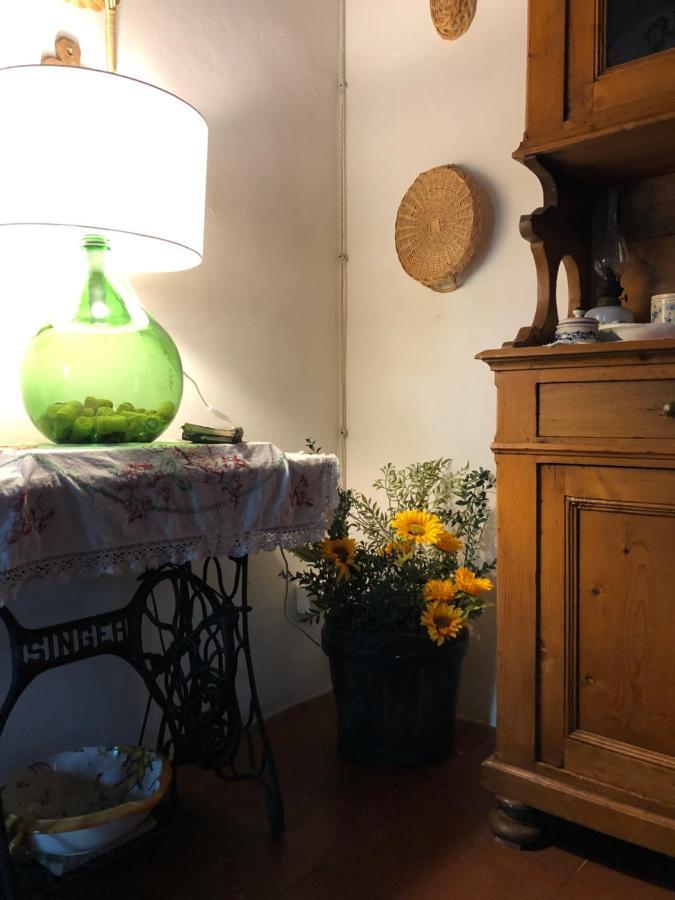 La Casa Nel Bosco Βίλα Lari Εξωτερικό φωτογραφία